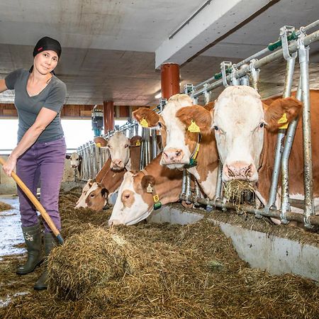Ferienwohnung Angerlgut Sankt Koloman エクステリア 写真