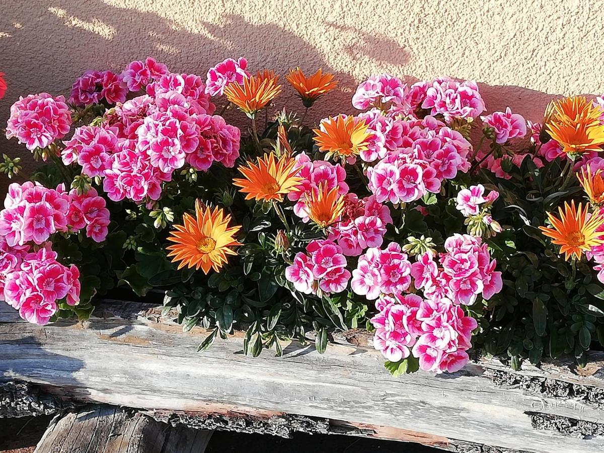 Ferienwohnung Angerlgut Sankt Koloman エクステリア 写真