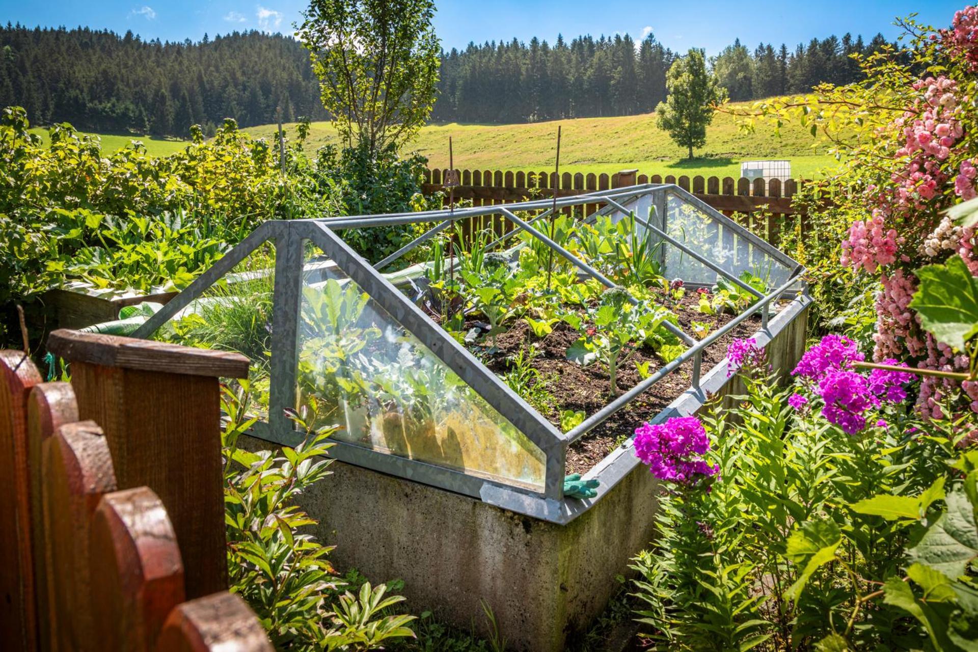 Ferienwohnung Angerlgut Sankt Koloman エクステリア 写真